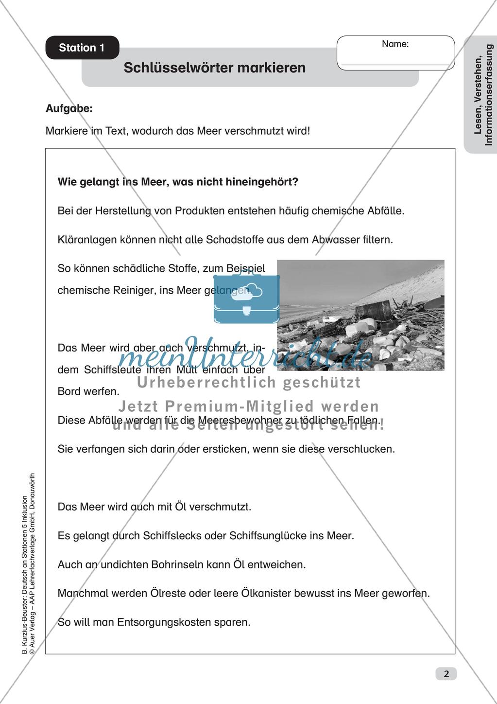 Lesen, Verstehen, Informationserfassung Preview 4