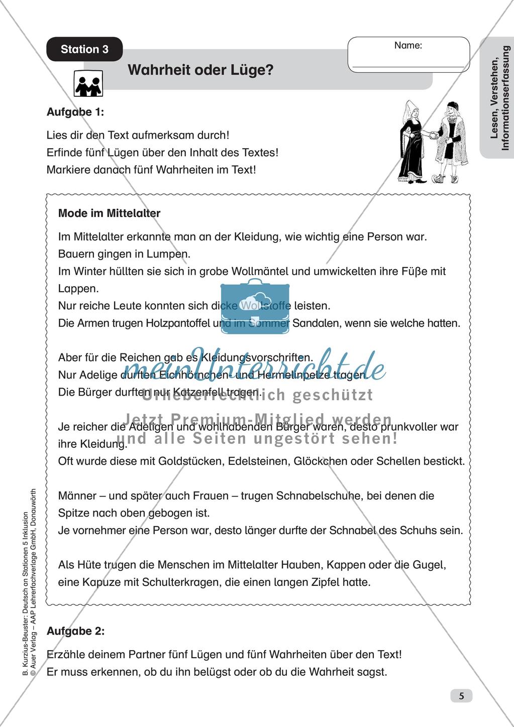 Lesen, Verstehen, Informationserfassung Preview 7