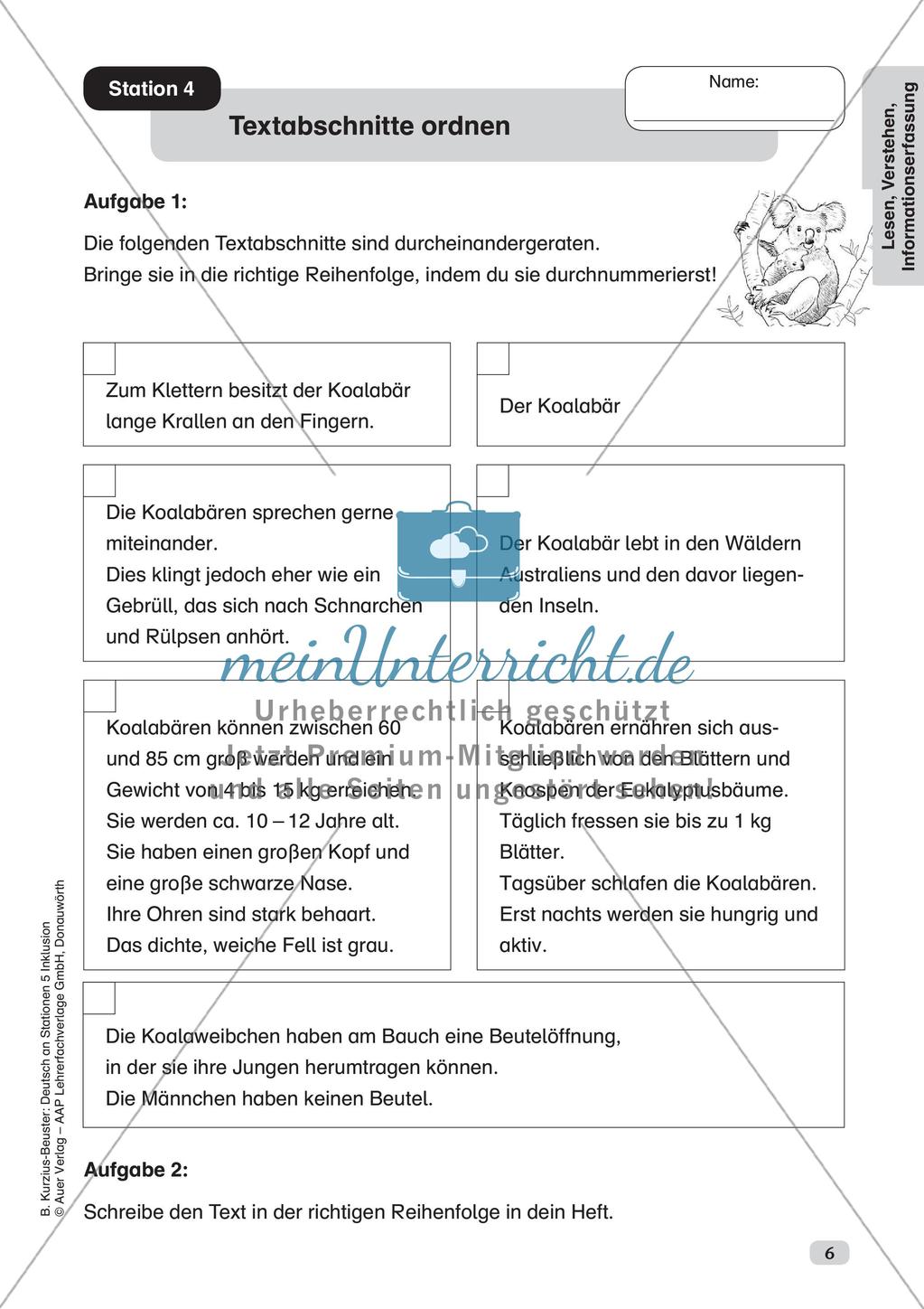 Lesen, Verstehen, Informationserfassung Preview 8