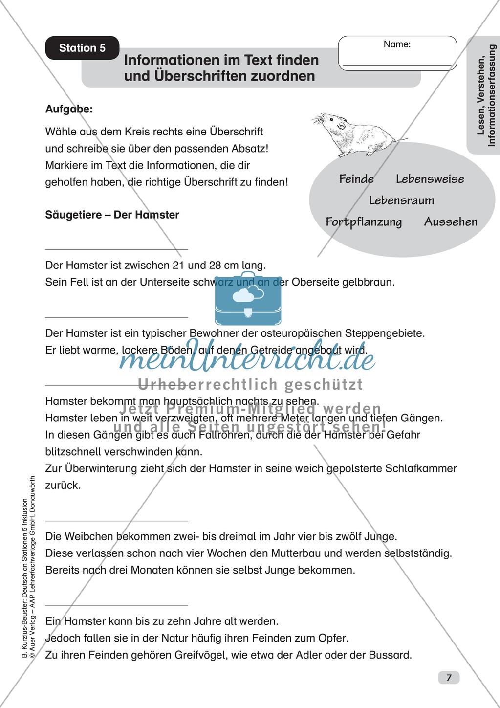 Lesen, Verstehen, Informationserfassung Preview 9