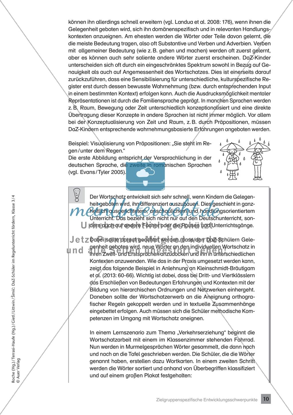Förderung im Regelunterricht: Hintergrundwissen Preview 12