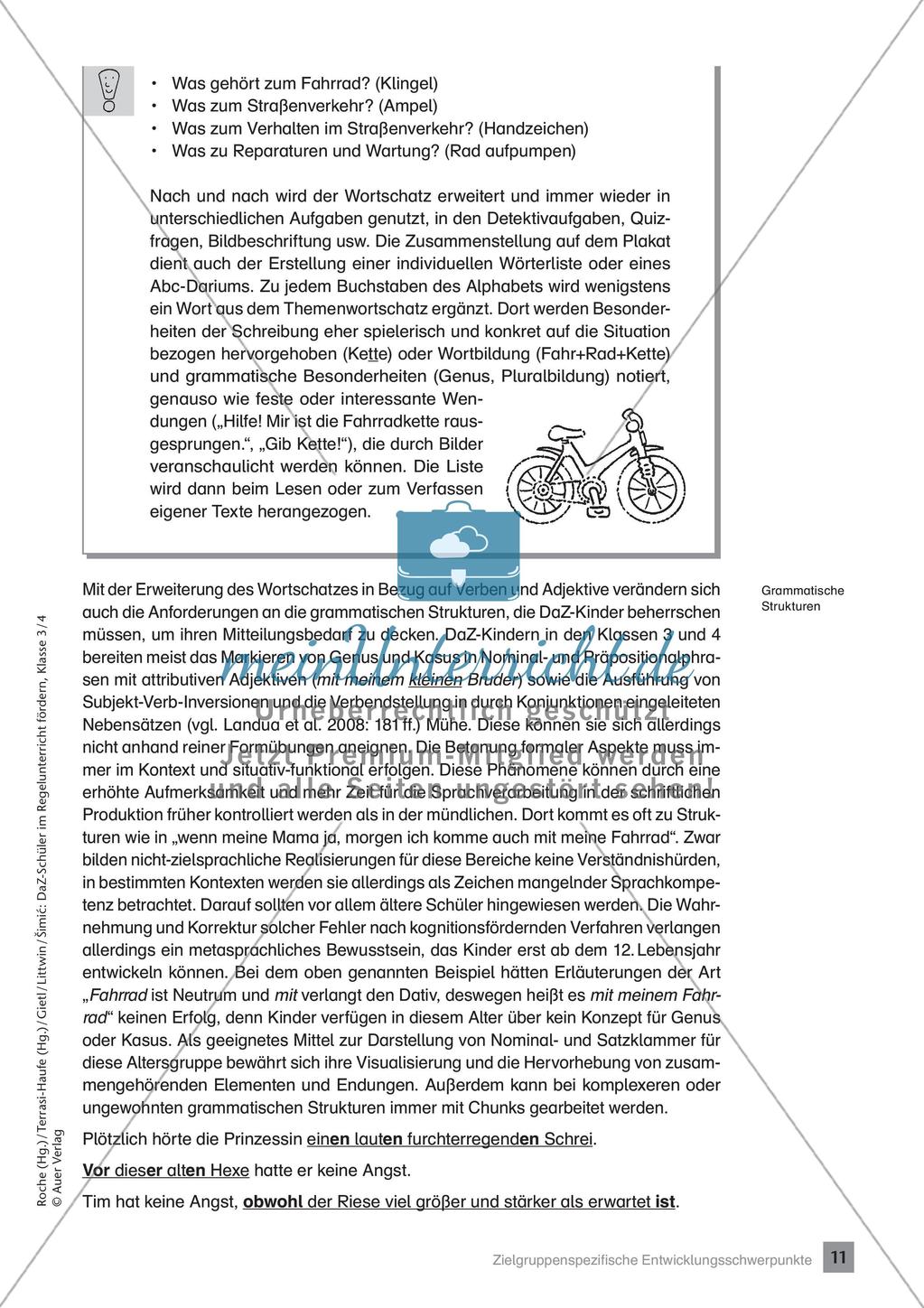Förderung im Regelunterricht: Hintergrundwissen Preview 13