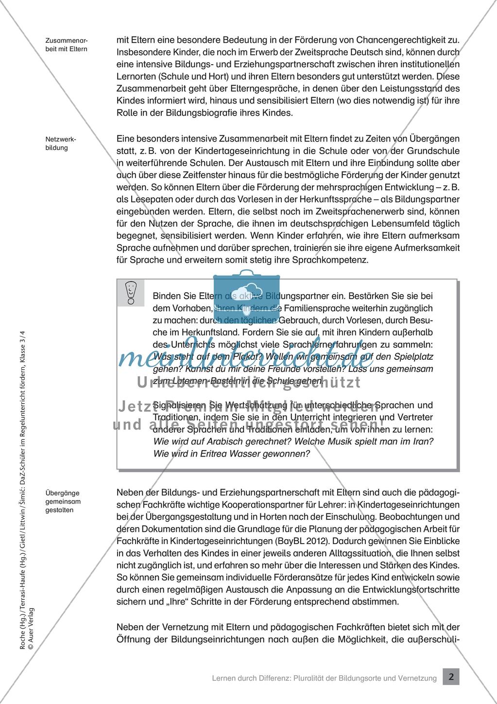 Förderung im Regelunterricht: Hintergrundwissen Preview 4