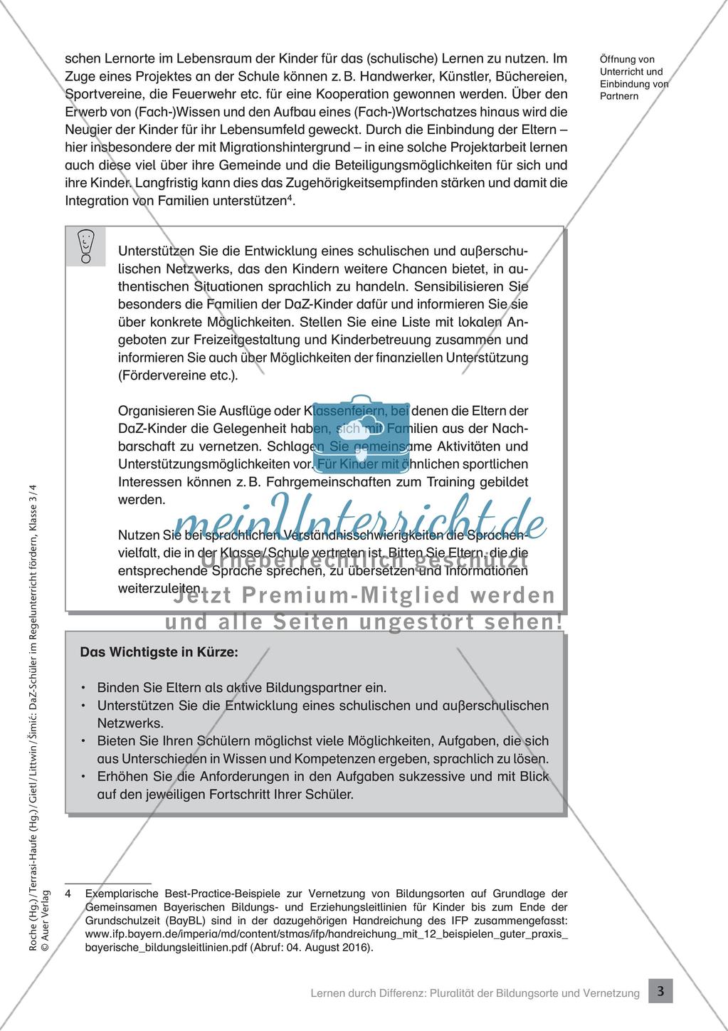 Förderung im Regelunterricht: Hintergrundwissen Preview 5