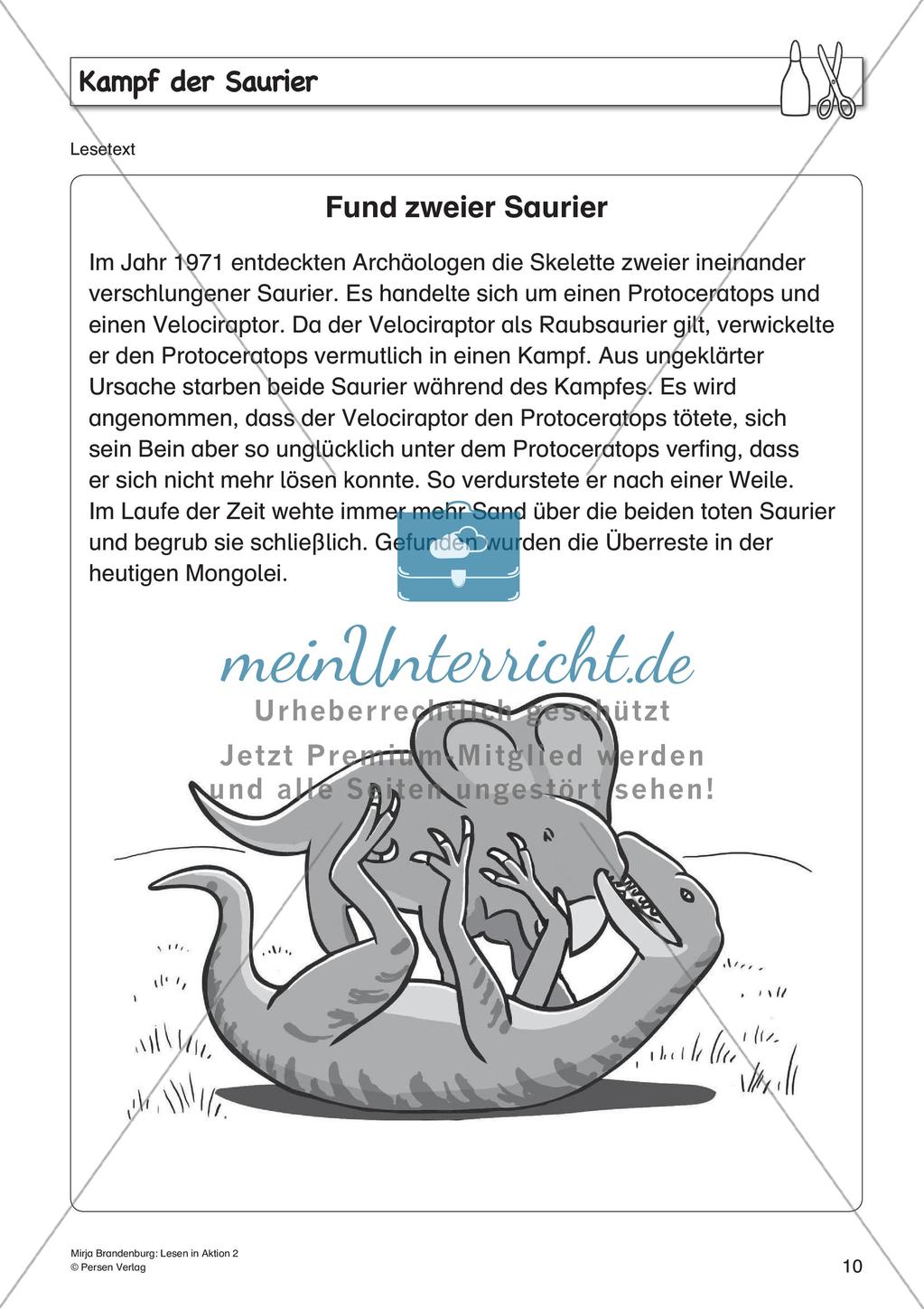 Geschichten und Sachtexte mit gestalterischen Aufgaben Preview 12