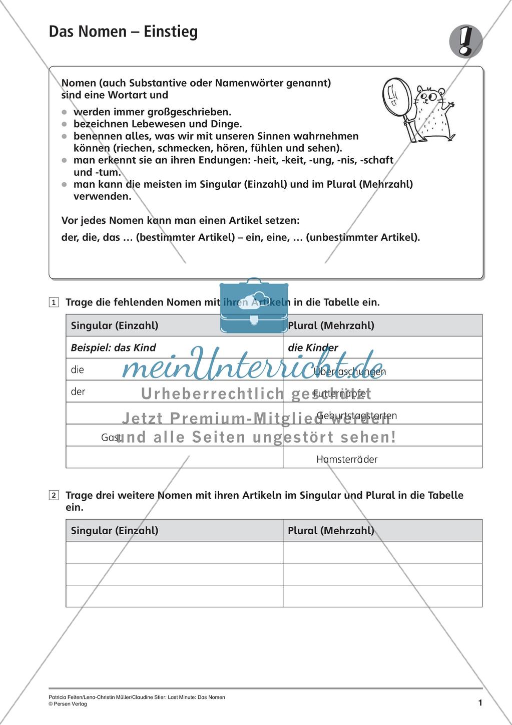 Nomen Preview 4