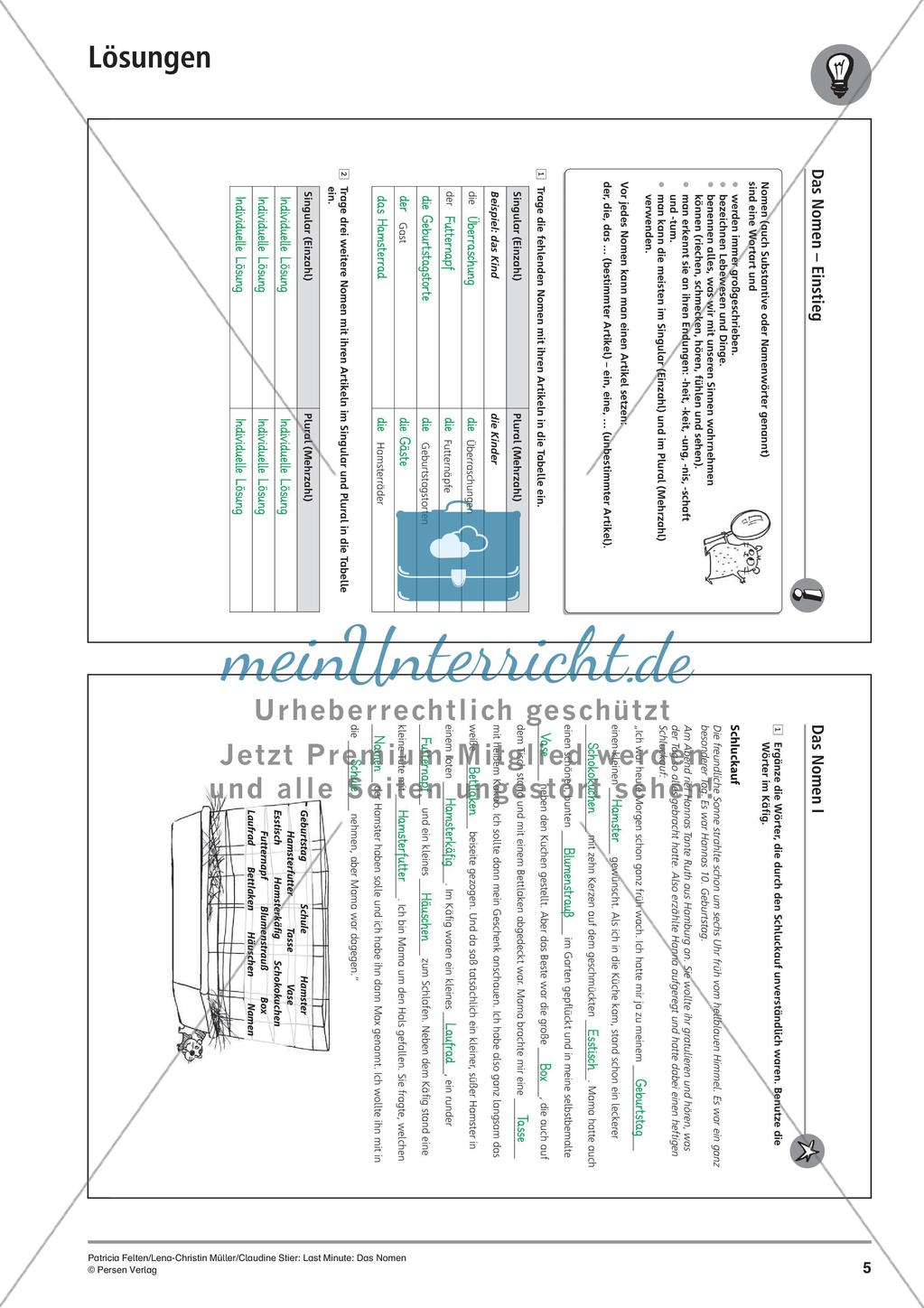Nomen Preview 8