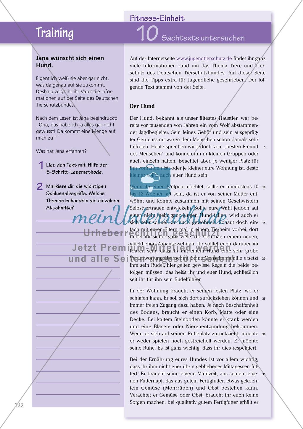 Untersuchen und Gestalten von Texten: Sachtexte Preview 8