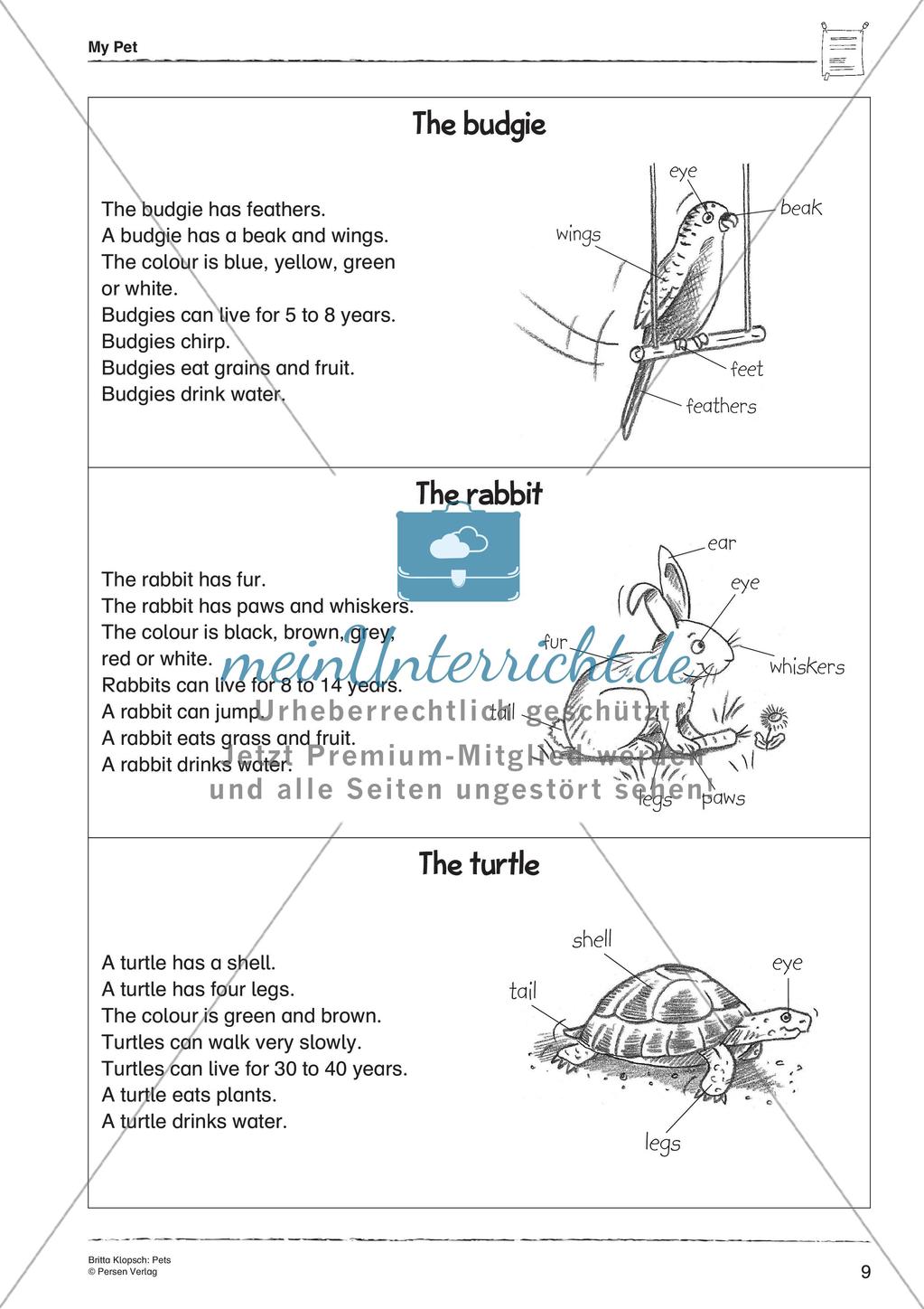 Wortschatzarbeit: Pets Preview 11