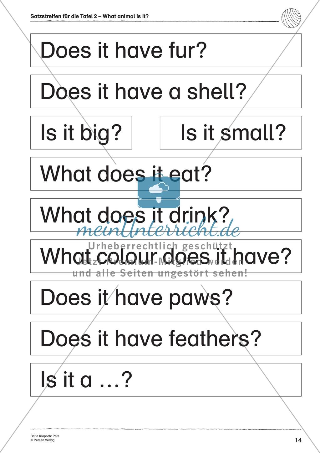 Wortschatzarbeit: Pets Preview 16