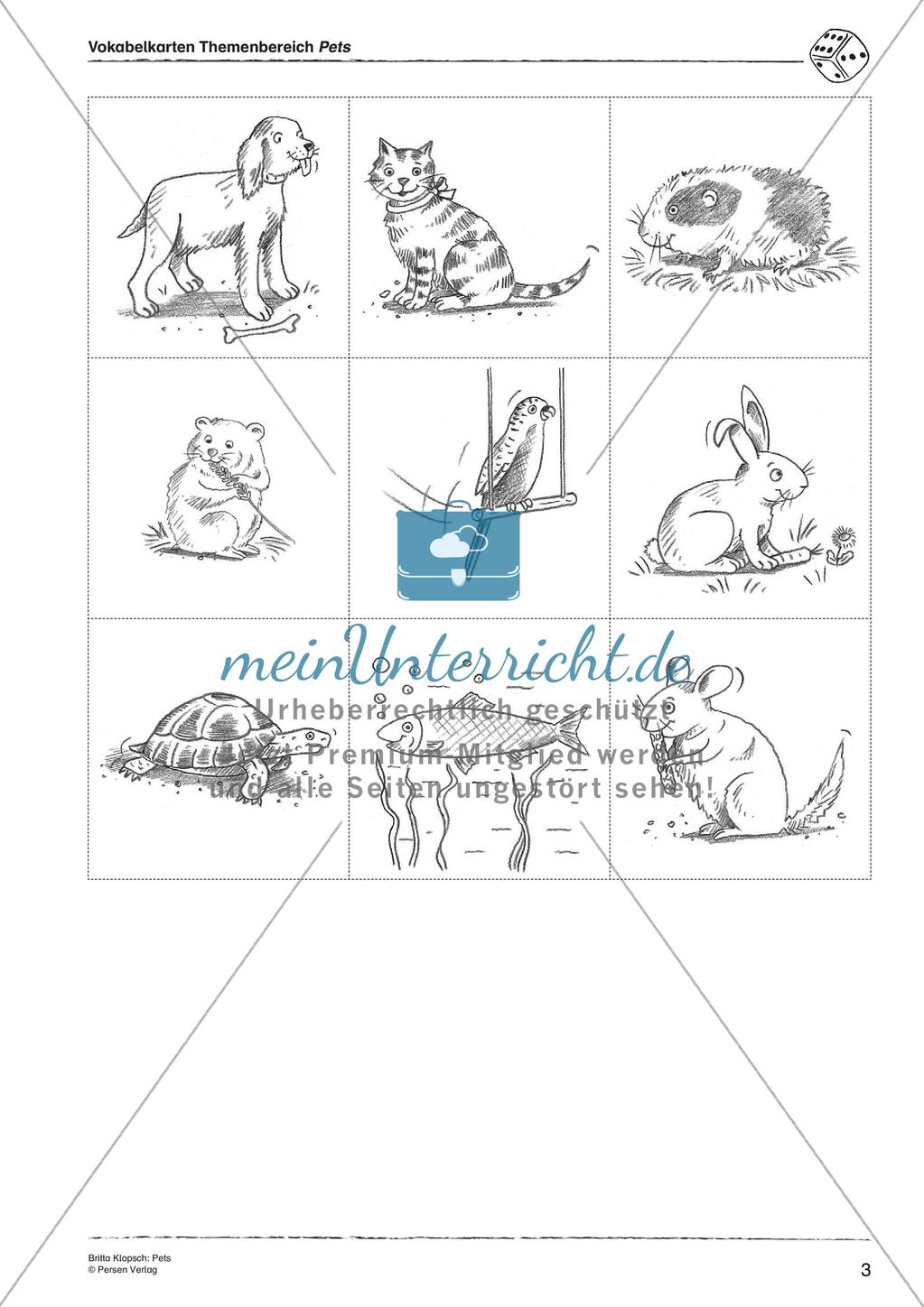 Wortschatzarbeit: Pets Preview 5