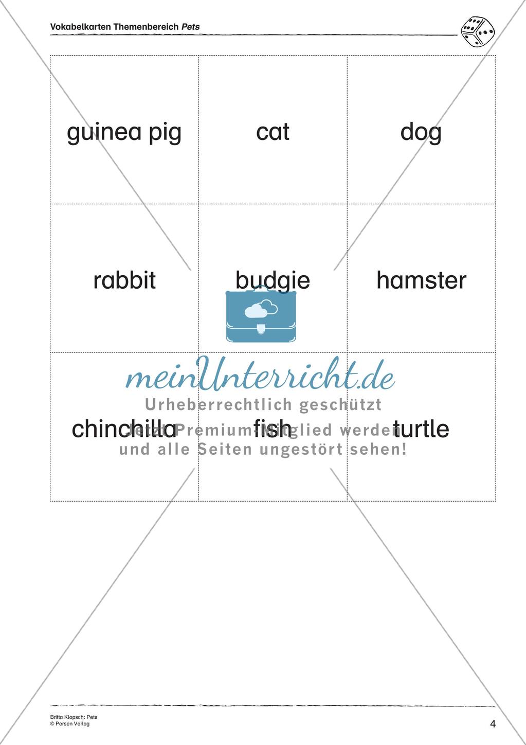 Wortschatzarbeit: Pets Preview 6