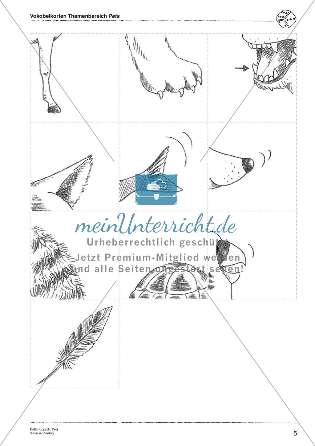 Wortschatzarbeit: Pets Preview 7