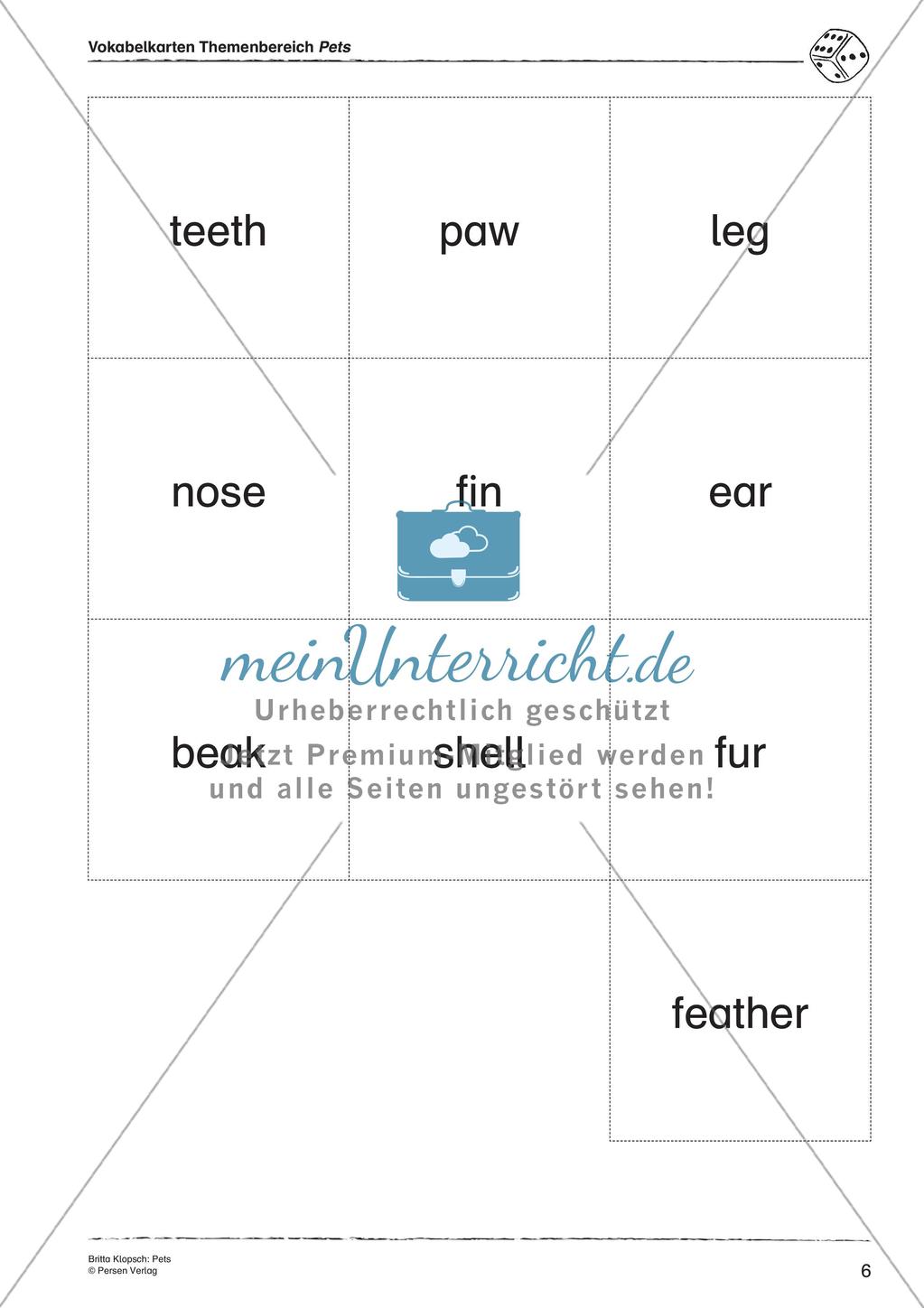 Wortschatzarbeit: Pets Preview 8