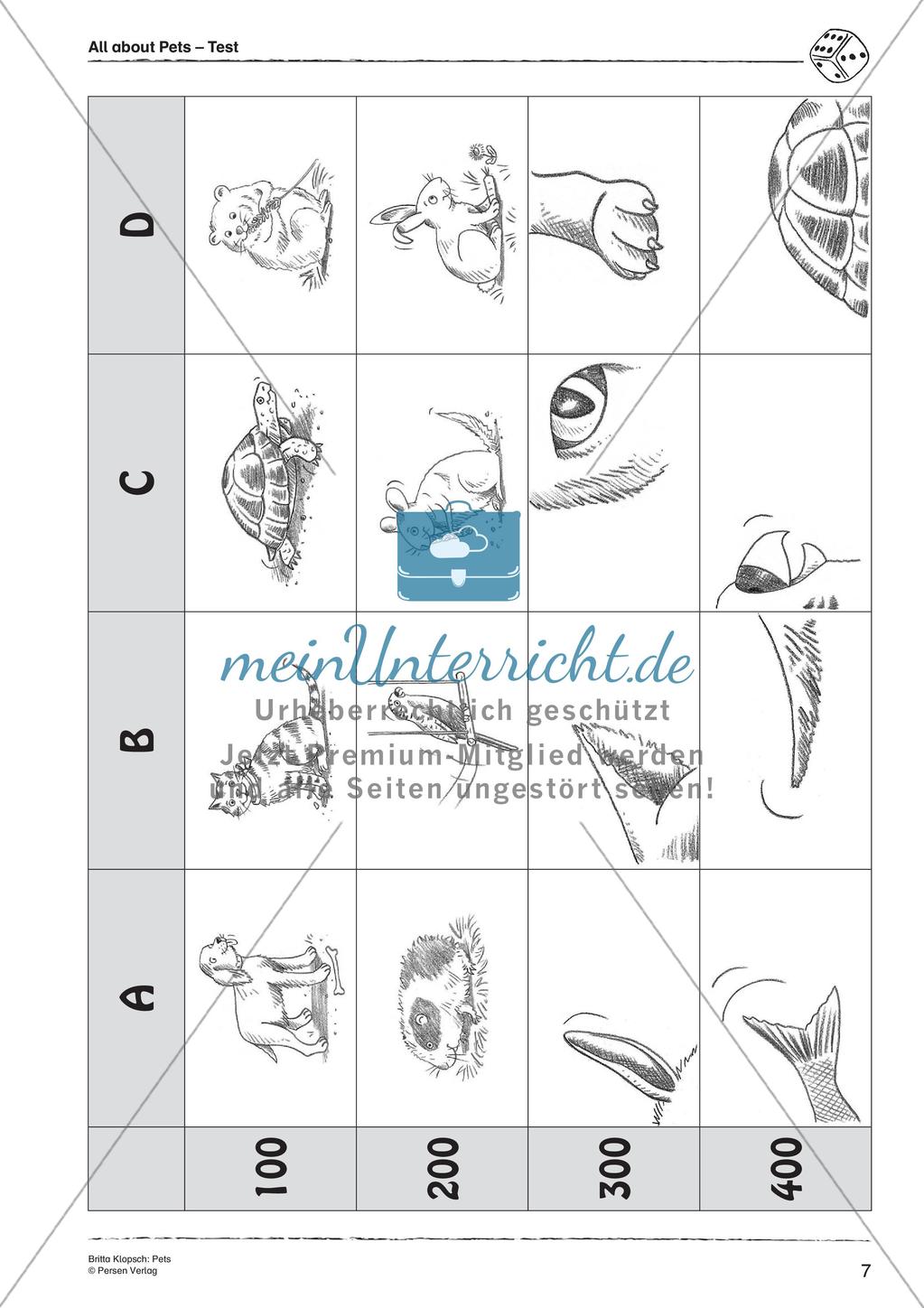 Wortschatzarbeit: Pets Preview 9