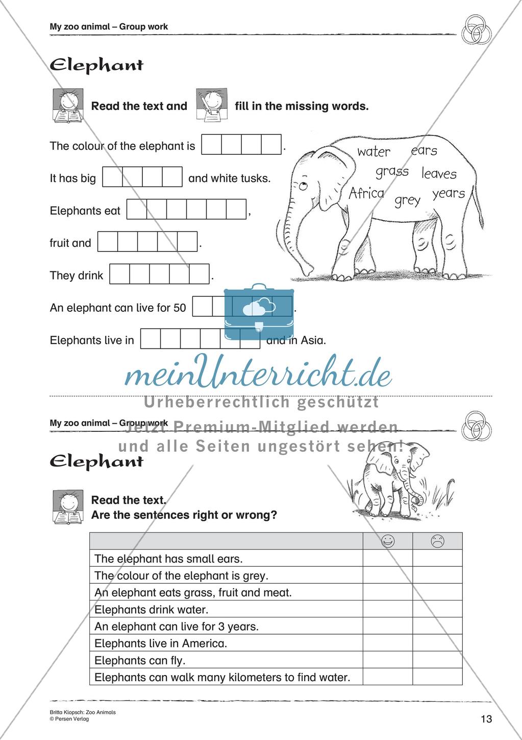 Wortschatzarbeit: Zoo Animals Preview 15