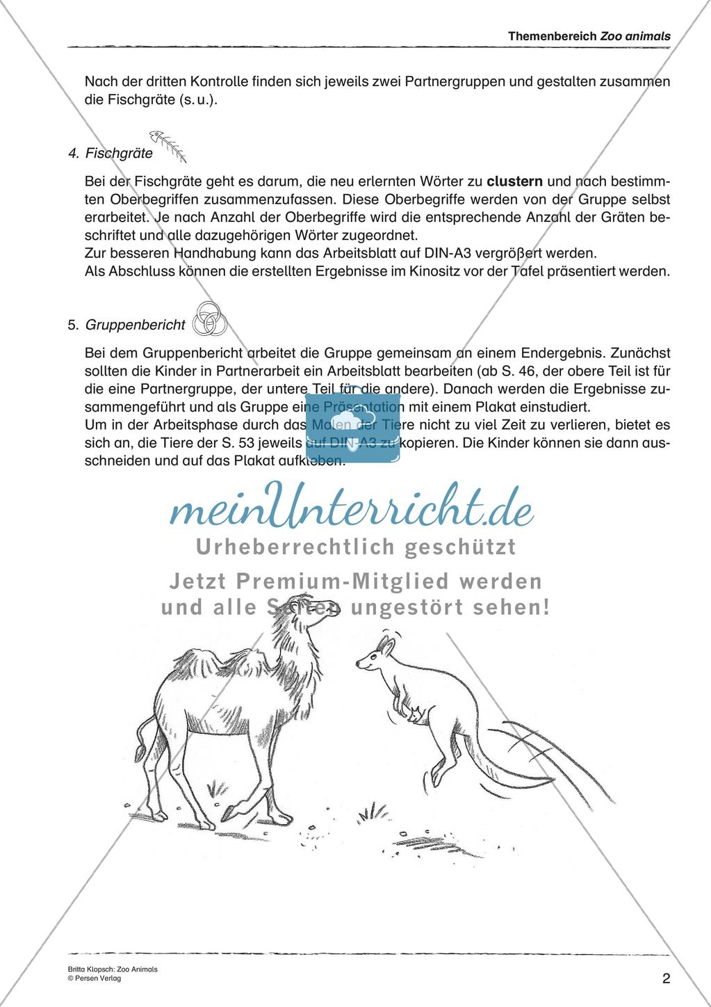 Wortschatzarbeit: Zoo Animals Preview 4