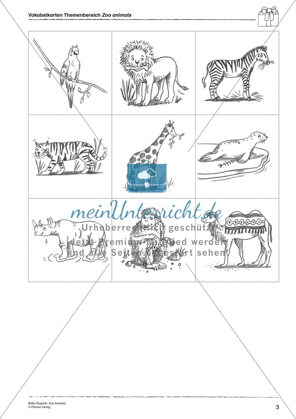 Wortschatzarbeit: Zoo Animals Preview 5