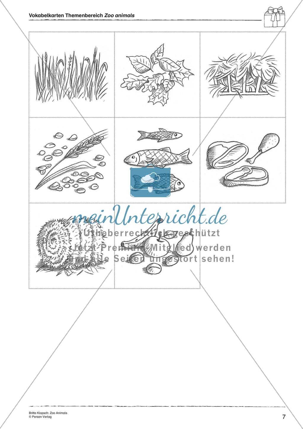 Wortschatzarbeit: Zoo Animals Preview 9