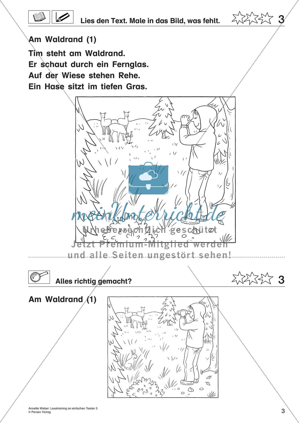 Ergänzen von fehlenden Bildern Preview 5