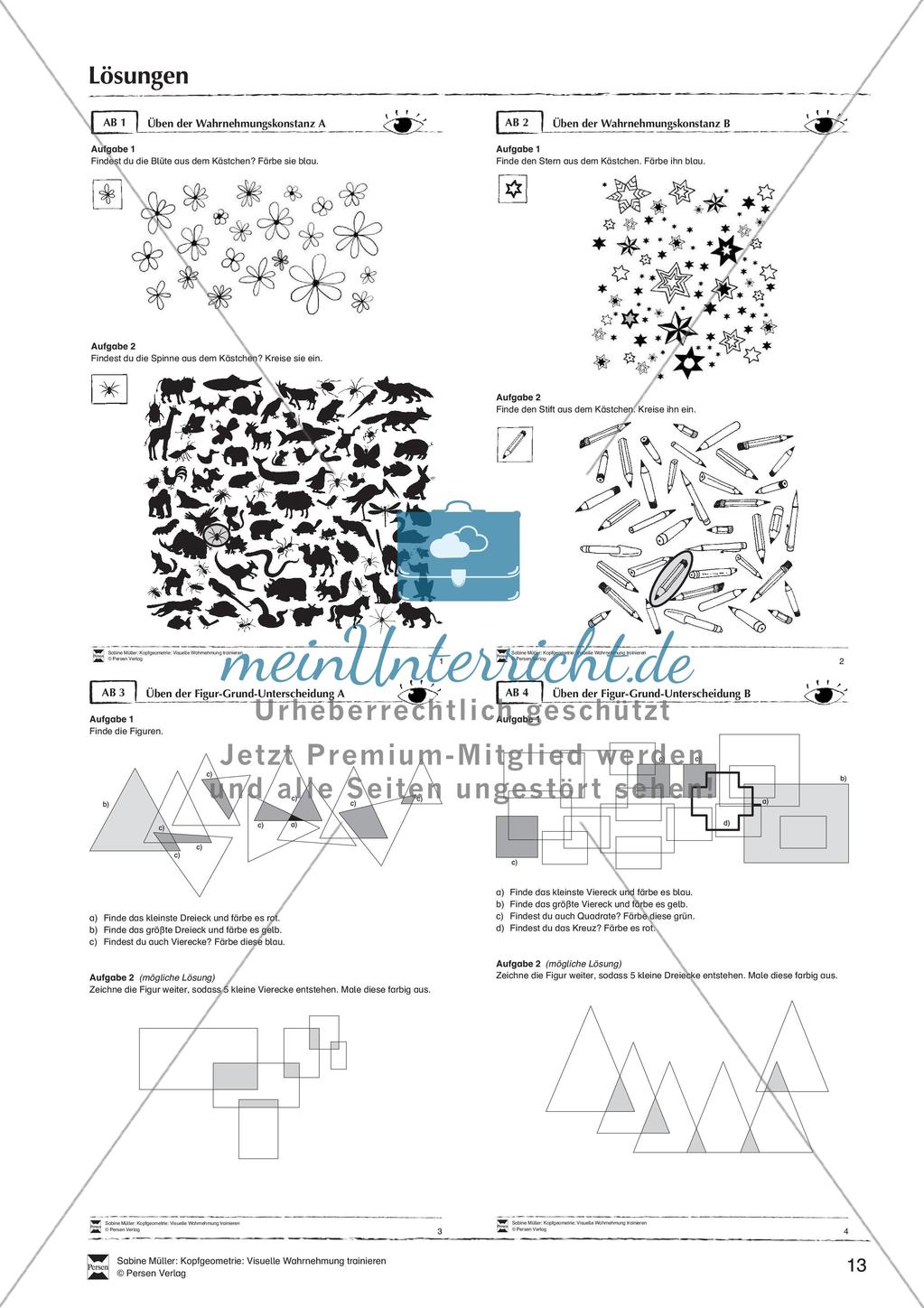 Kopfgeometrie: Visuelle Wahrnehmung Preview 15