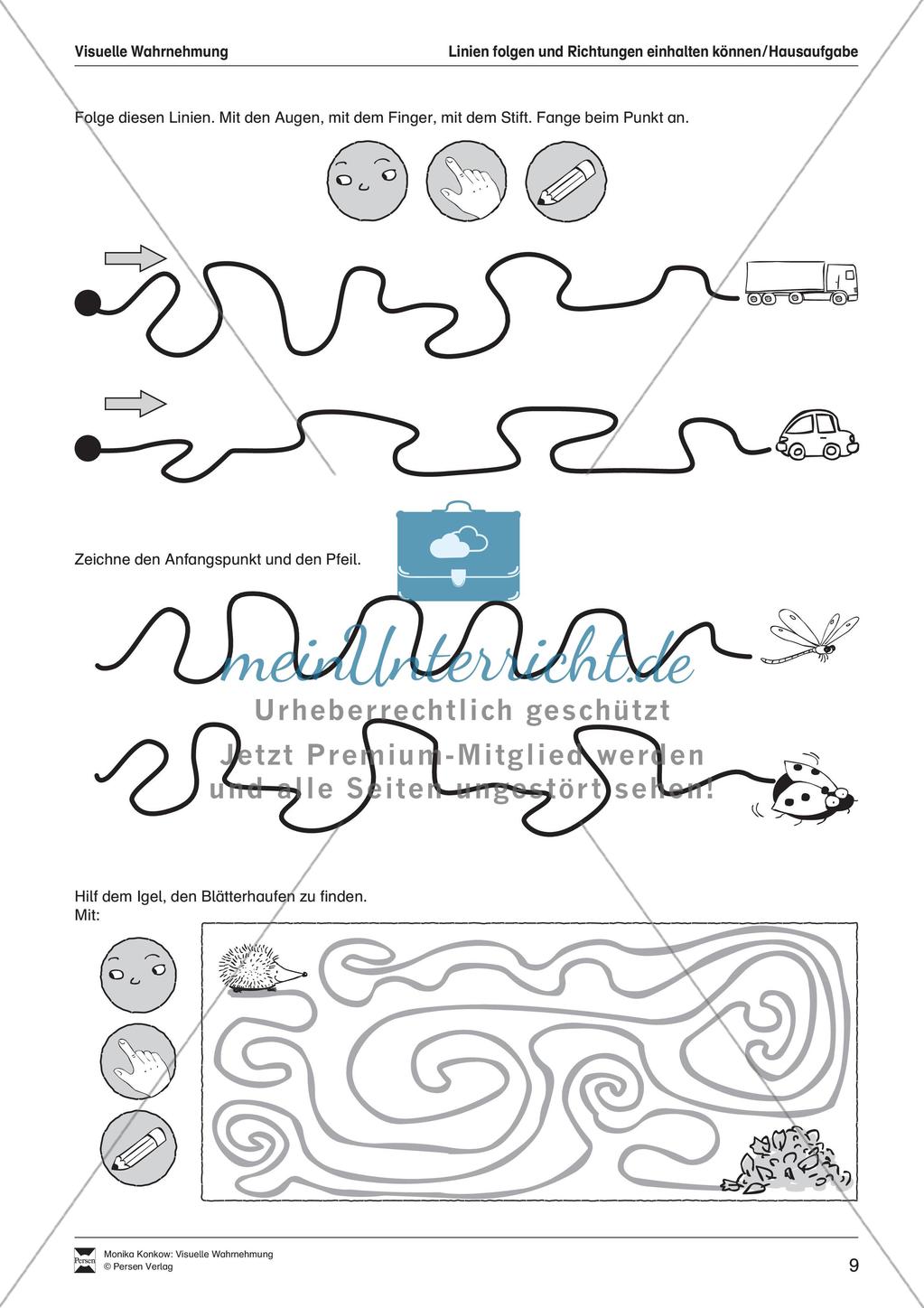 Leseerwerb: Visuelle Wahrnehmung Preview 10