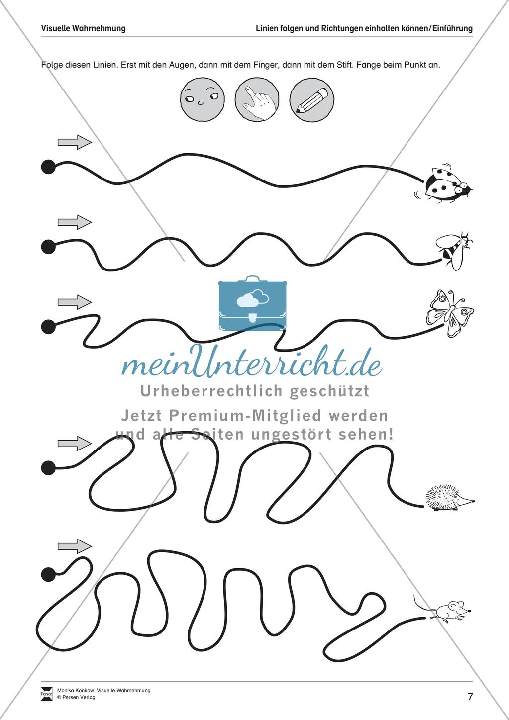 Leseerwerb: Visuelle Wahrnehmung Preview 8