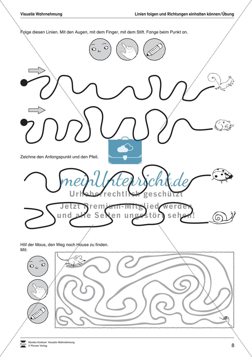 Leseerwerb: Visuelle Wahrnehmung Preview 9