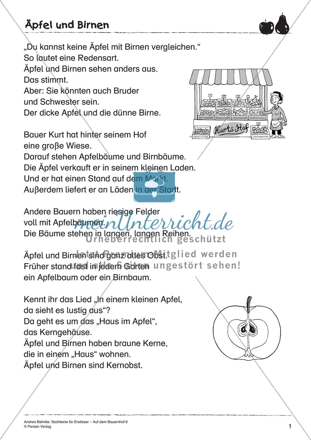 Sachtexte für Erstleser: Äpfel und Birnen Preview 3