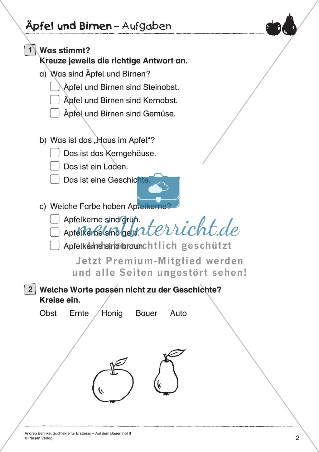 Sachtexte für Erstleser: Äpfel und Birnen Preview 4