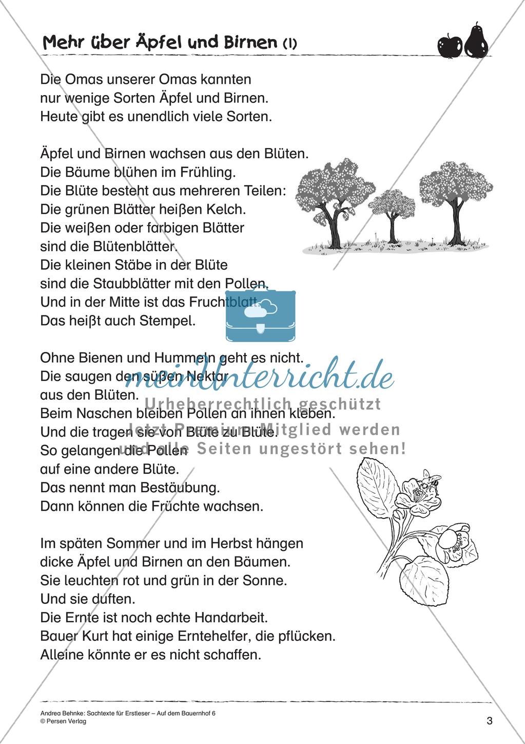 Sachtexte für Erstleser: Äpfel und Birnen Preview 5