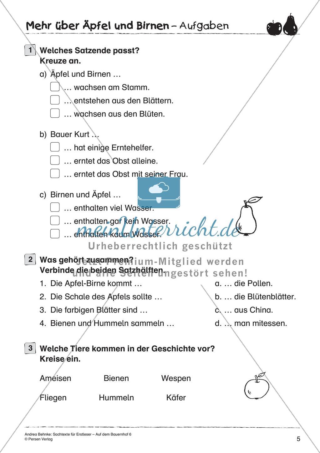 Sachtexte für Erstleser: Äpfel und Birnen Preview 7