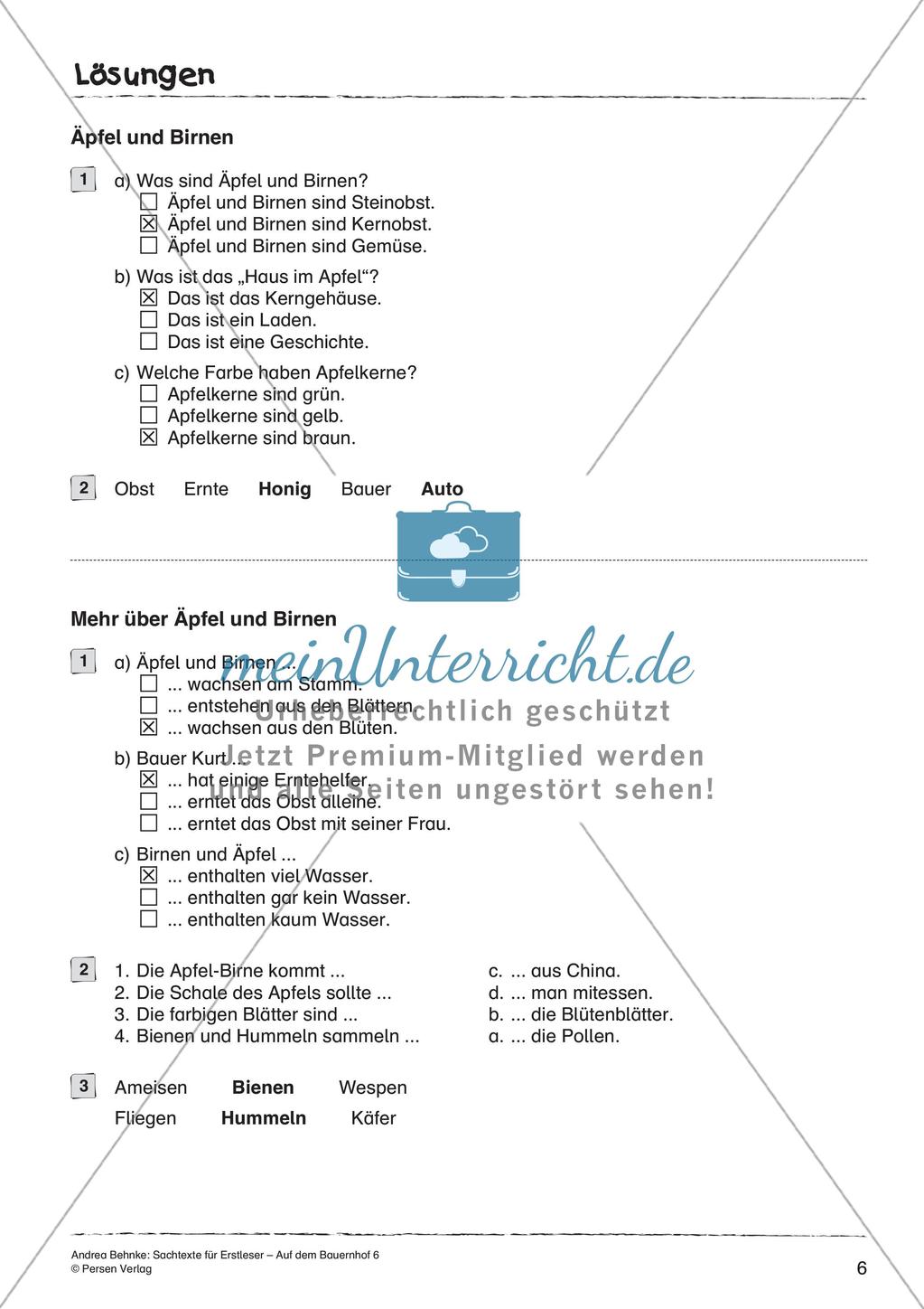 Sachtexte für Erstleser: Äpfel und Birnen Preview 8