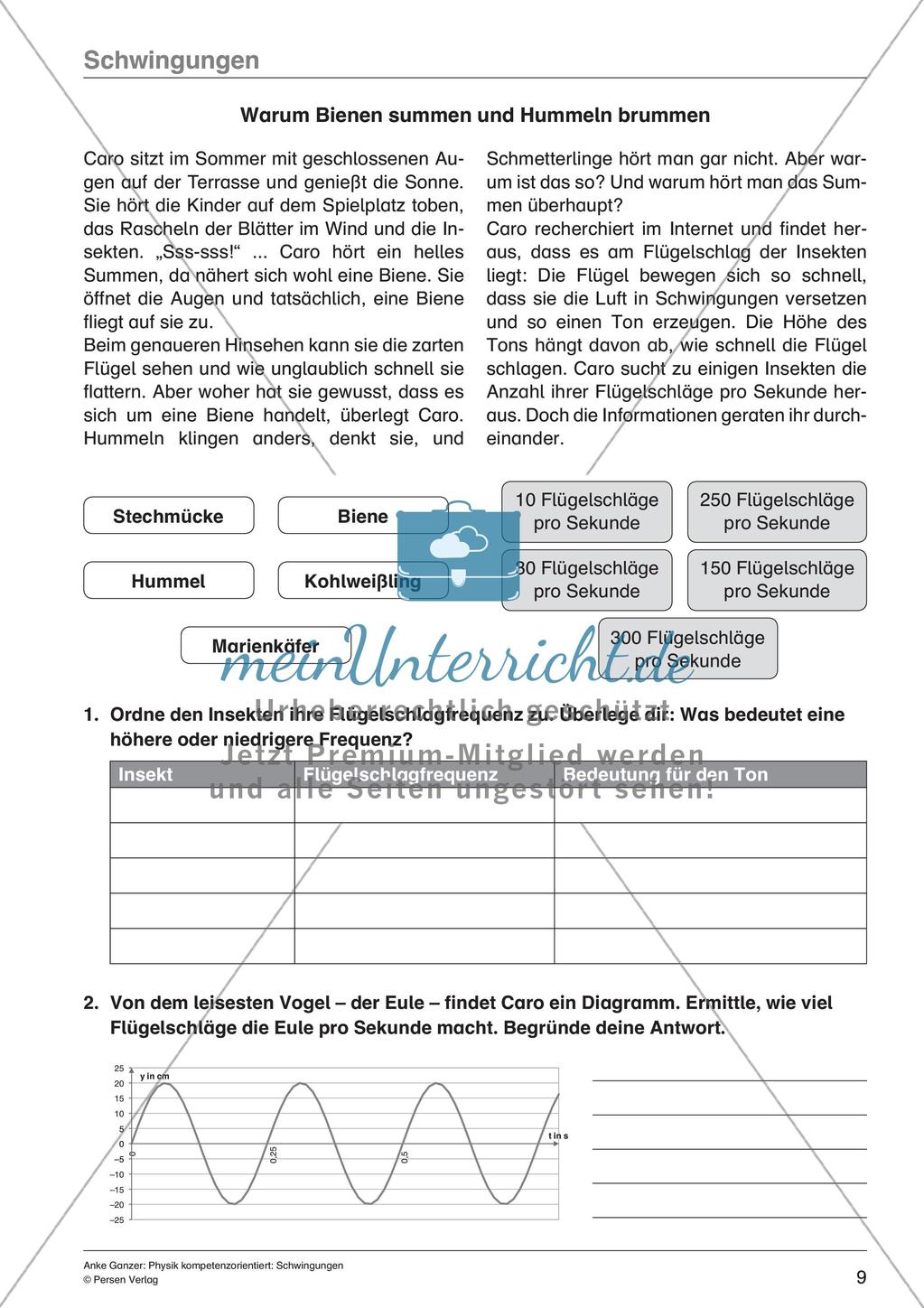 Schwingungen Preview 11
