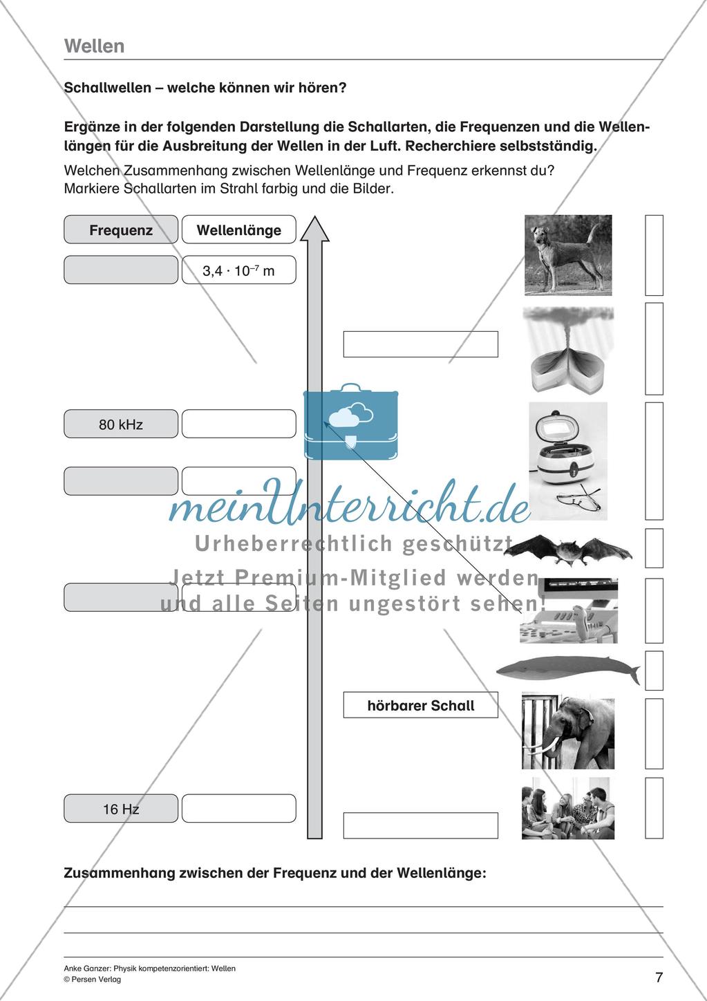 Wellen Preview 9