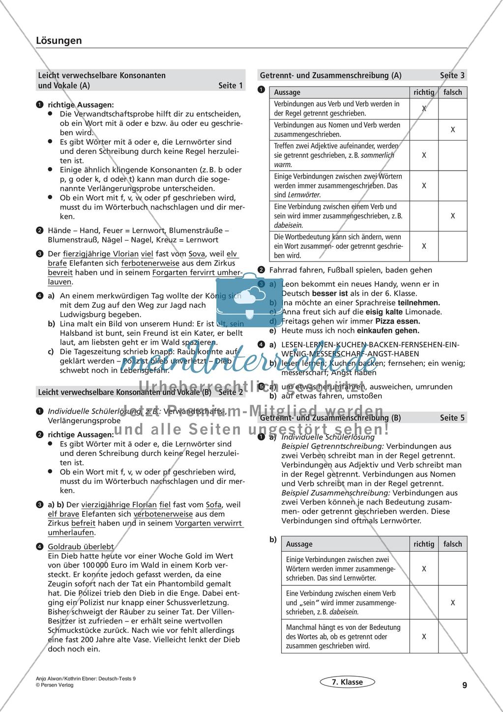 Lernzielkontrollen Klasse 7: Richtig schreiben Preview 11