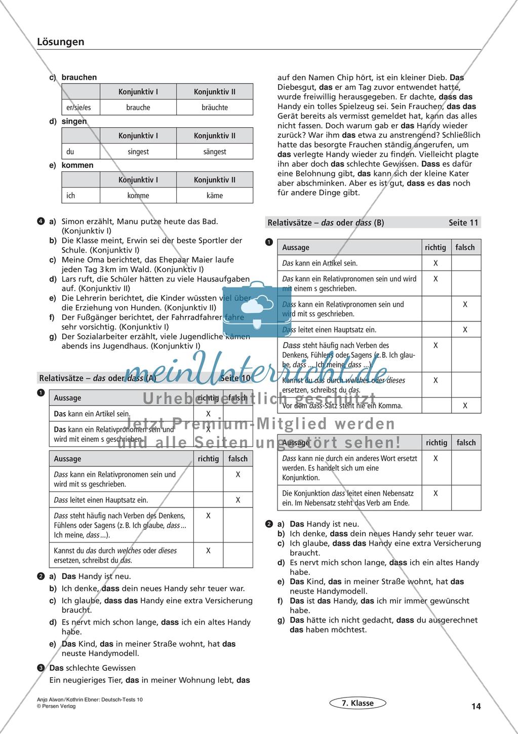Lernzielkontrollen Klasse 7: Sprache untersuchen und Zeichensetzung Preview 16