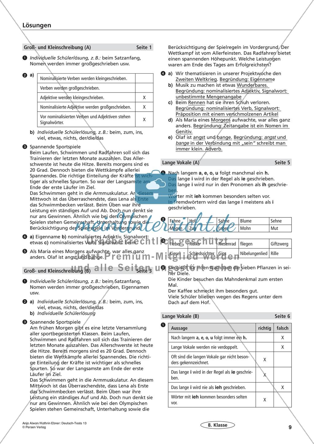 Lernzielkontrollen Klasse 8: Richtig schreiben Preview 11