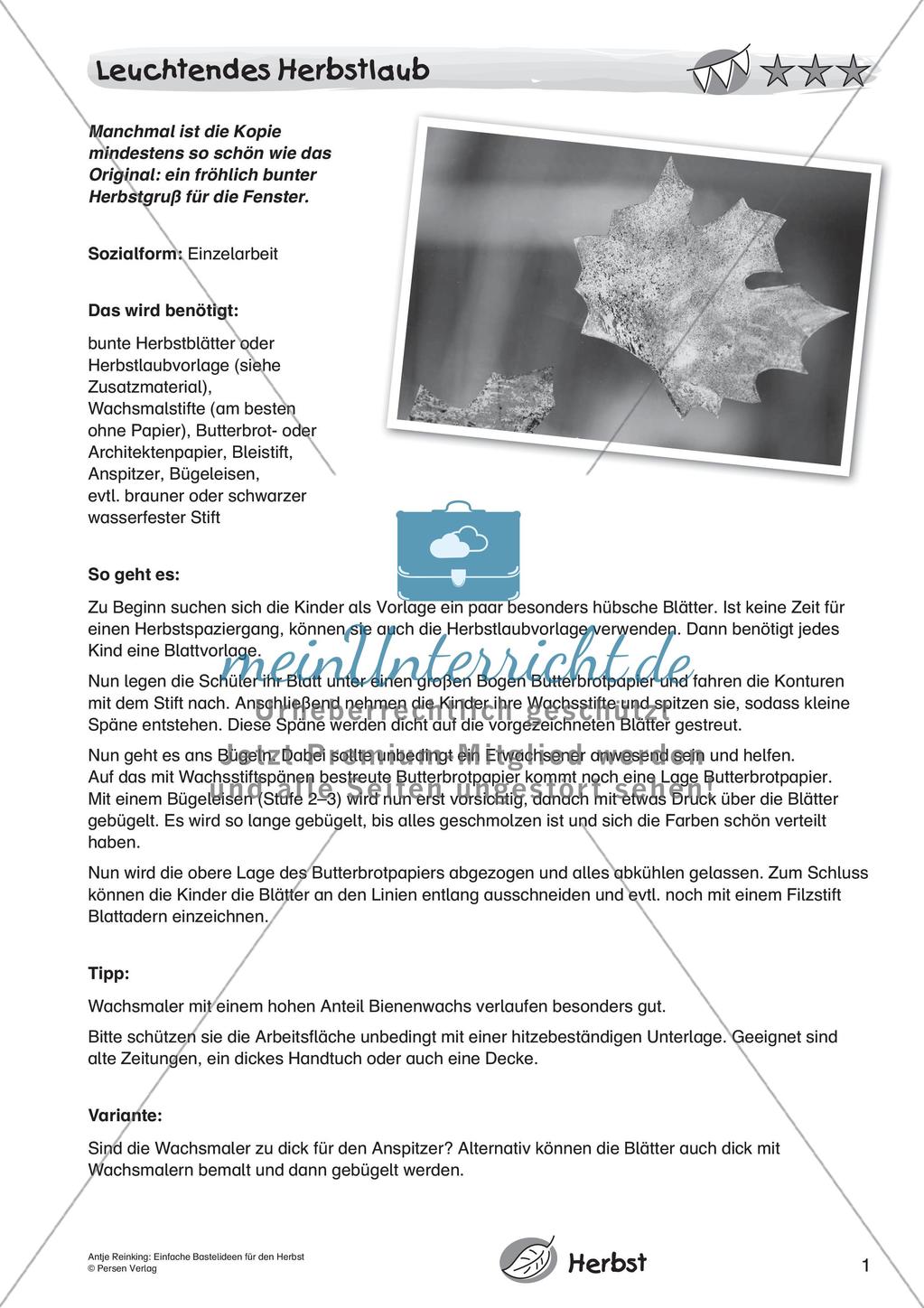 Einfache Bastelideen für den Herbst Preview 3