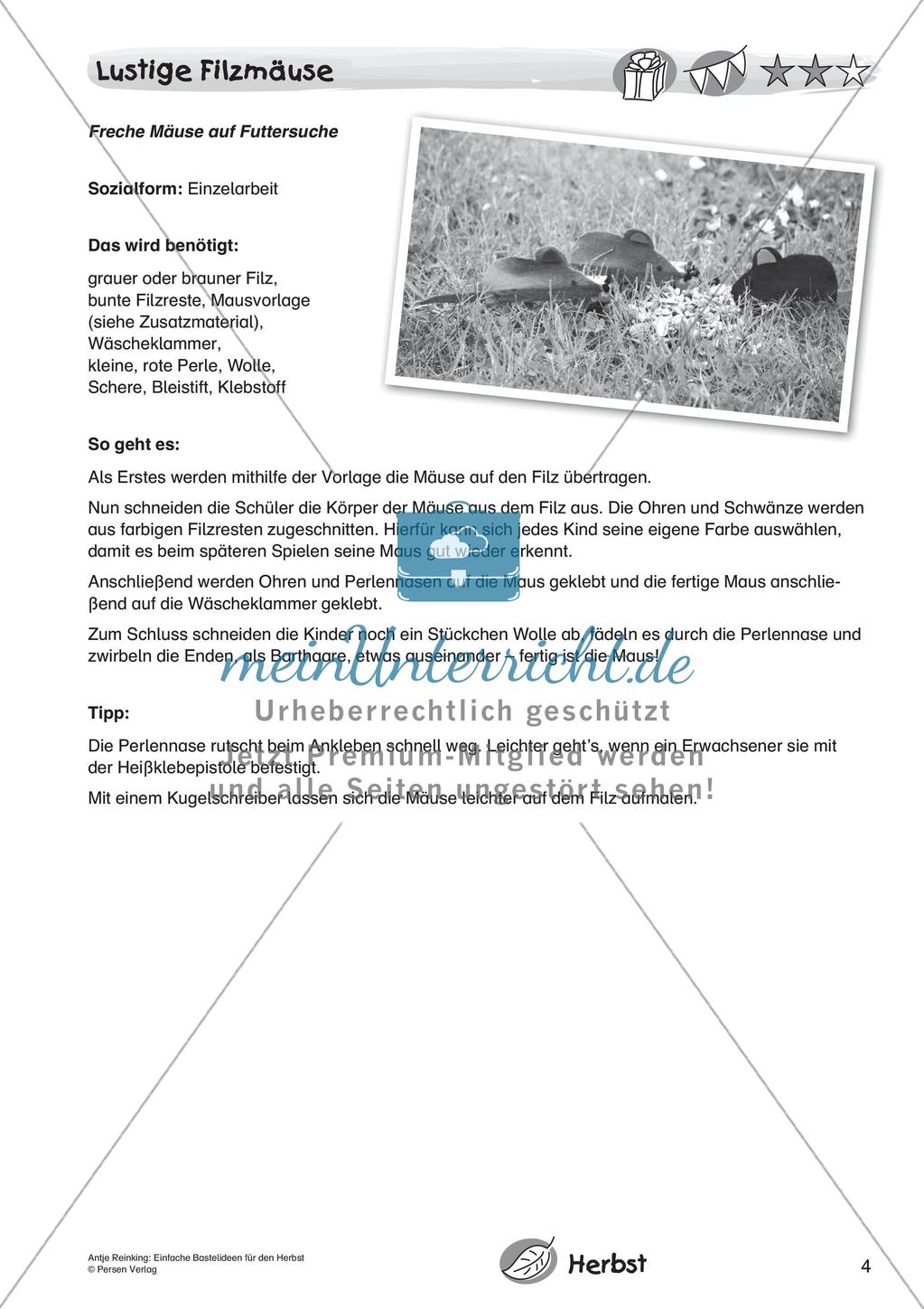 Einfache Bastelideen für den Herbst Preview 6