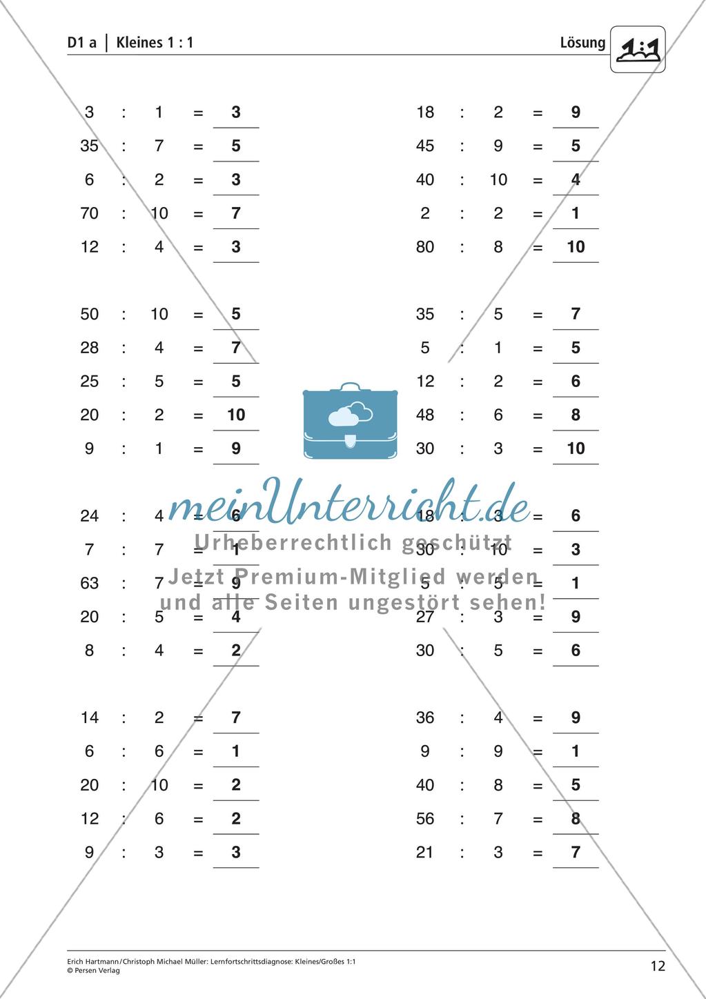 Lernfortschrittsdiagnose: Einsdurcheins Preview 14