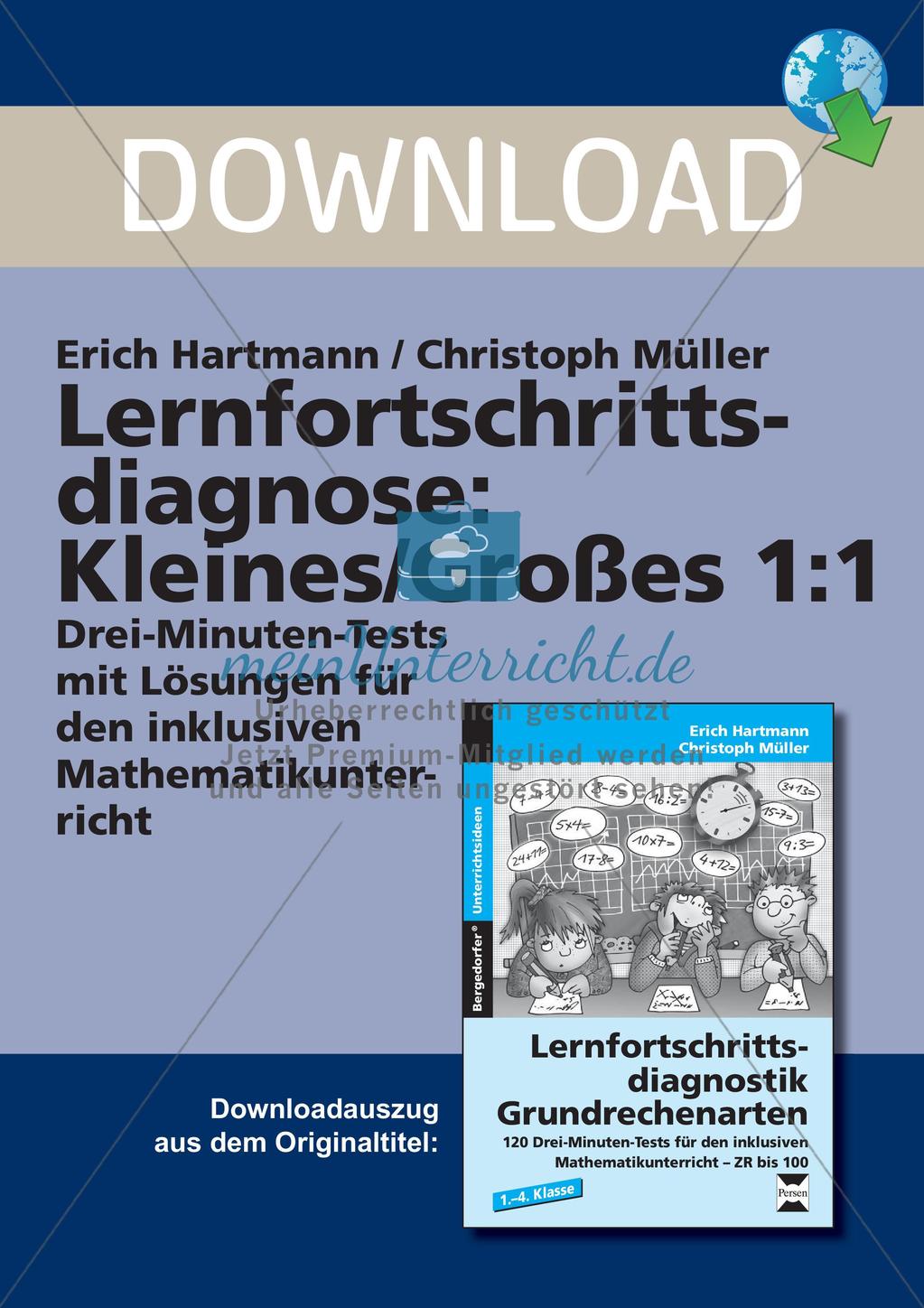 Lernfortschrittsdiagnose: Einsdurcheins Preview 1