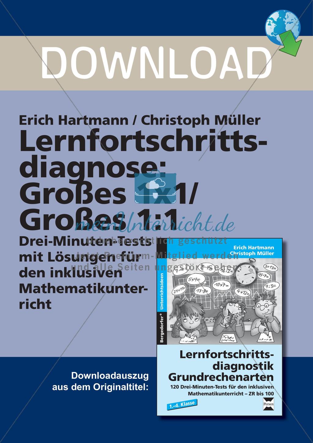 Lernfortschrittsdiagnose: Großes Einmaleins und Einsdurcheins Preview 1