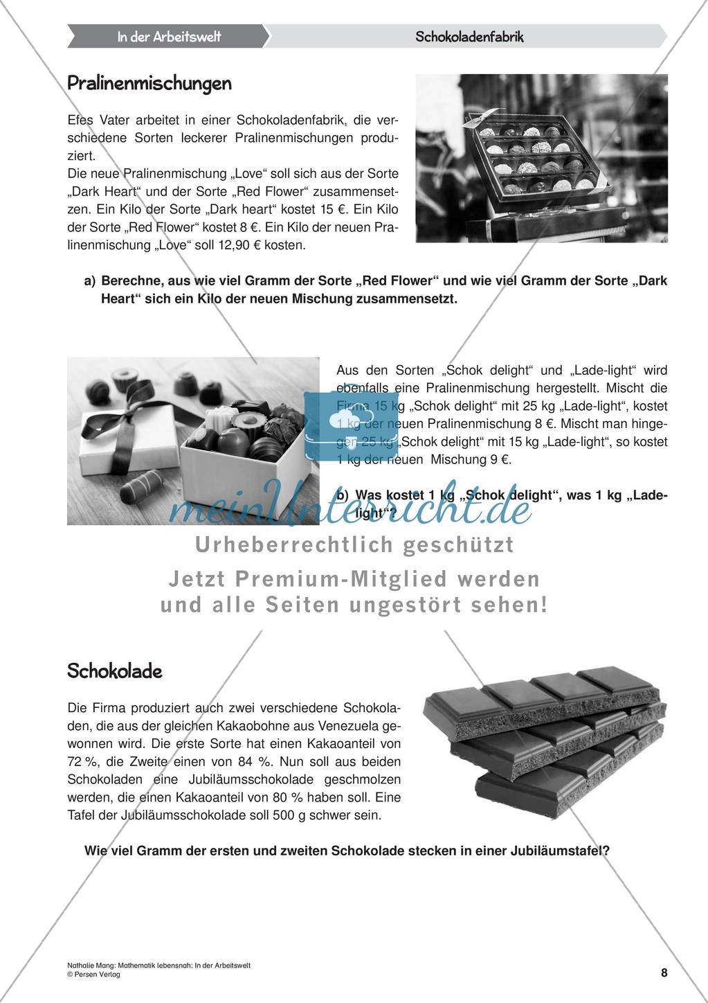 Mathematik lebensnah: In der Arbeitswelt Preview 10