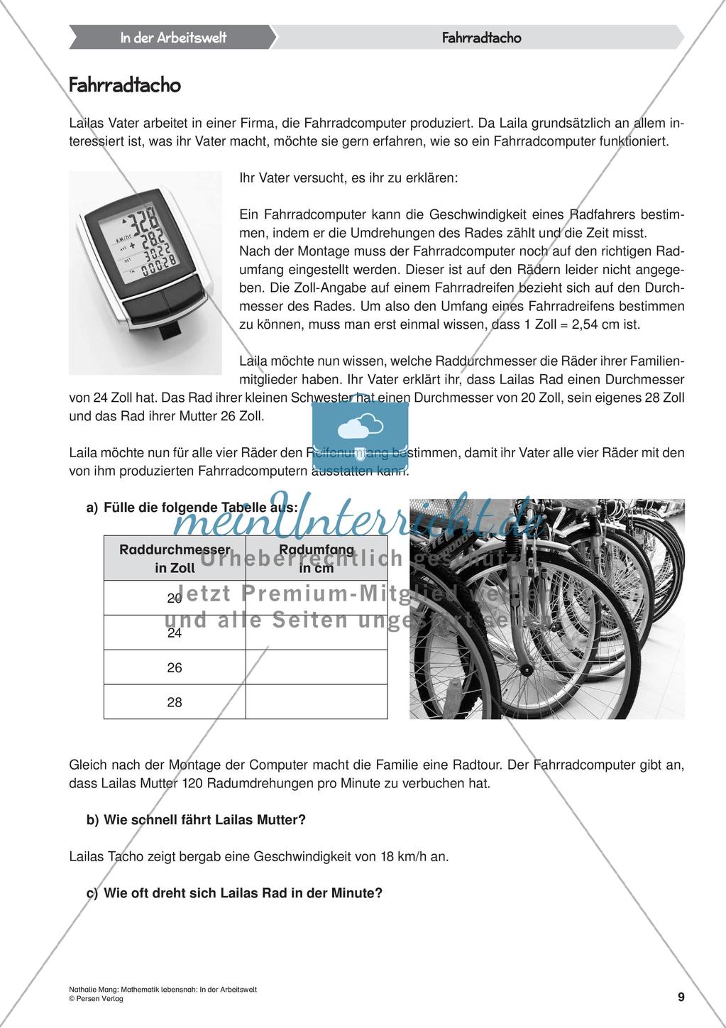 Mathematik lebensnah: In der Arbeitswelt Preview 11