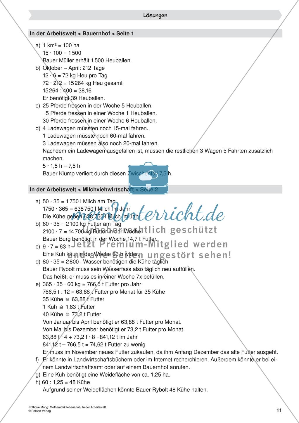 Mathematik lebensnah: In der Arbeitswelt Preview 13