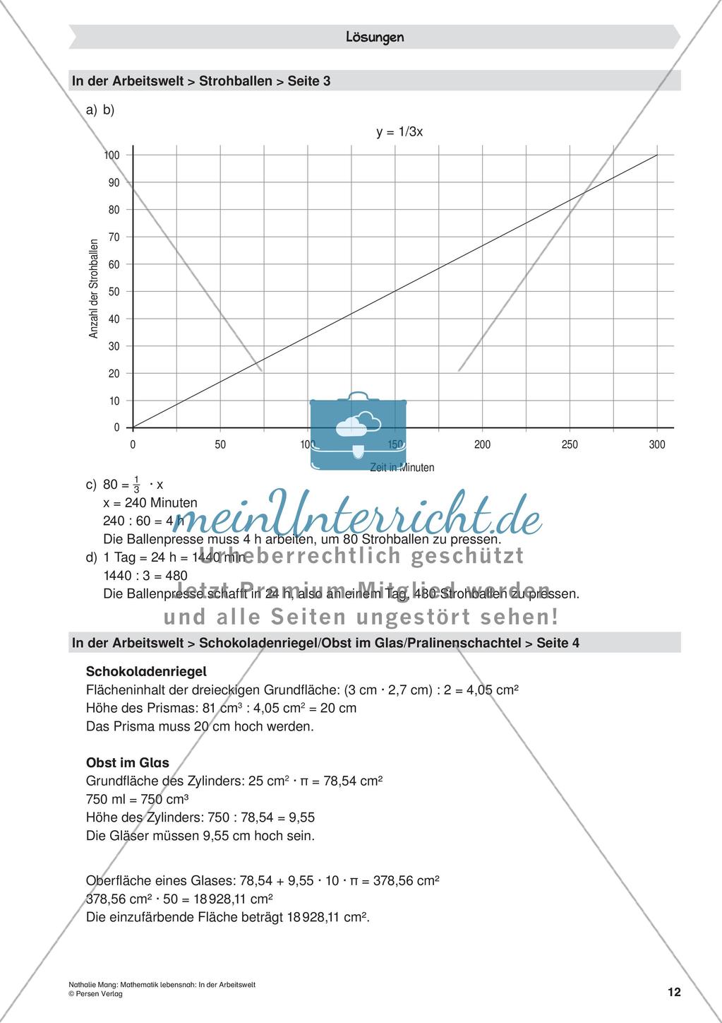 Mathematik lebensnah: In der Arbeitswelt Preview 14