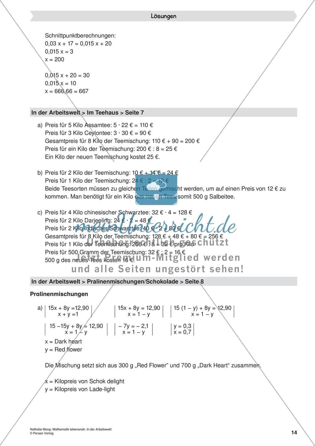 Mathematik lebensnah: In der Arbeitswelt Preview 16