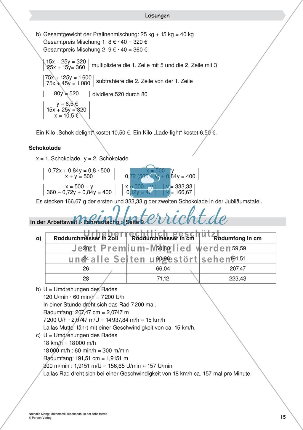 Mathematik lebensnah: In der Arbeitswelt Preview 17