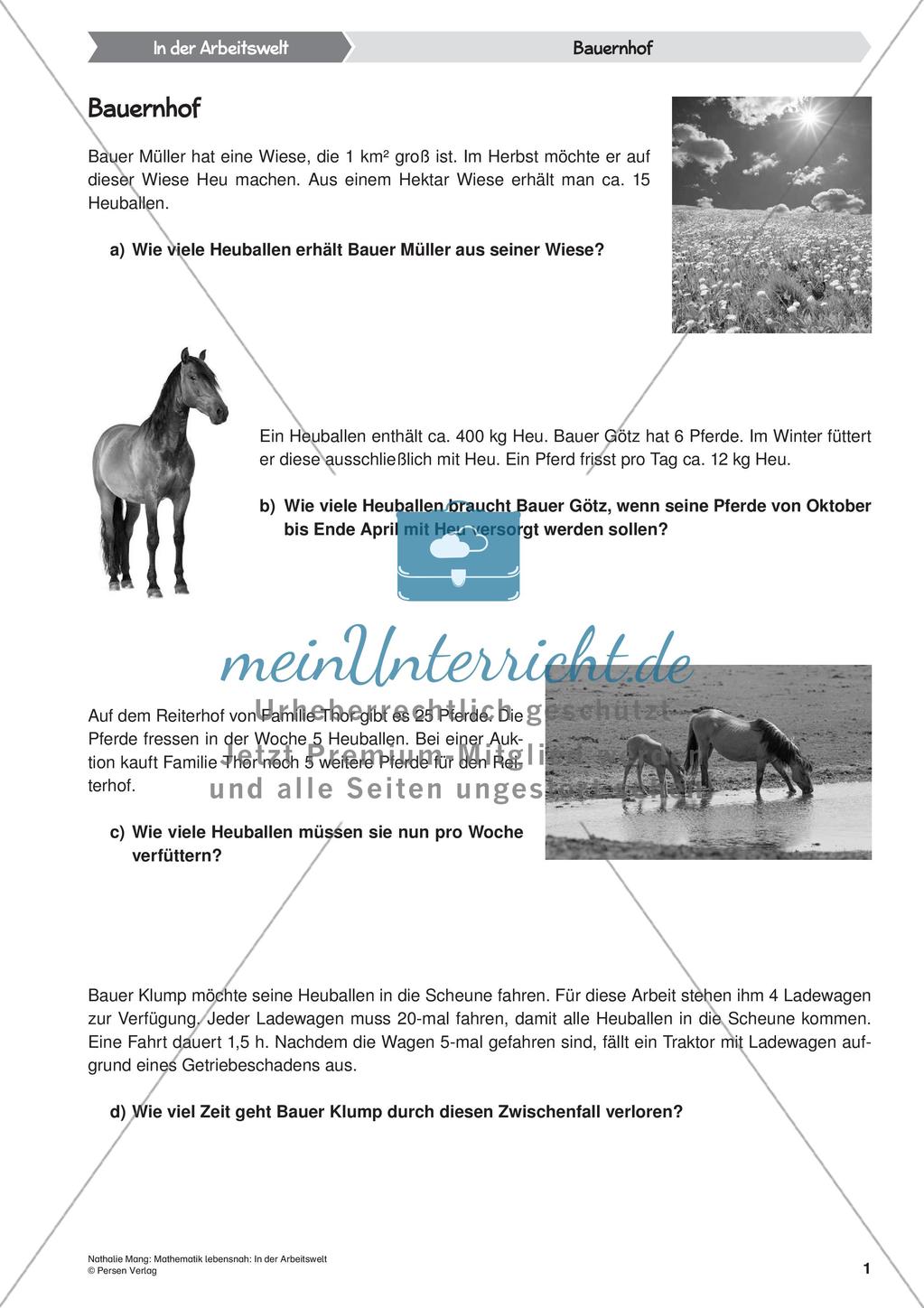 Mathematik lebensnah: In der Arbeitswelt Preview 3